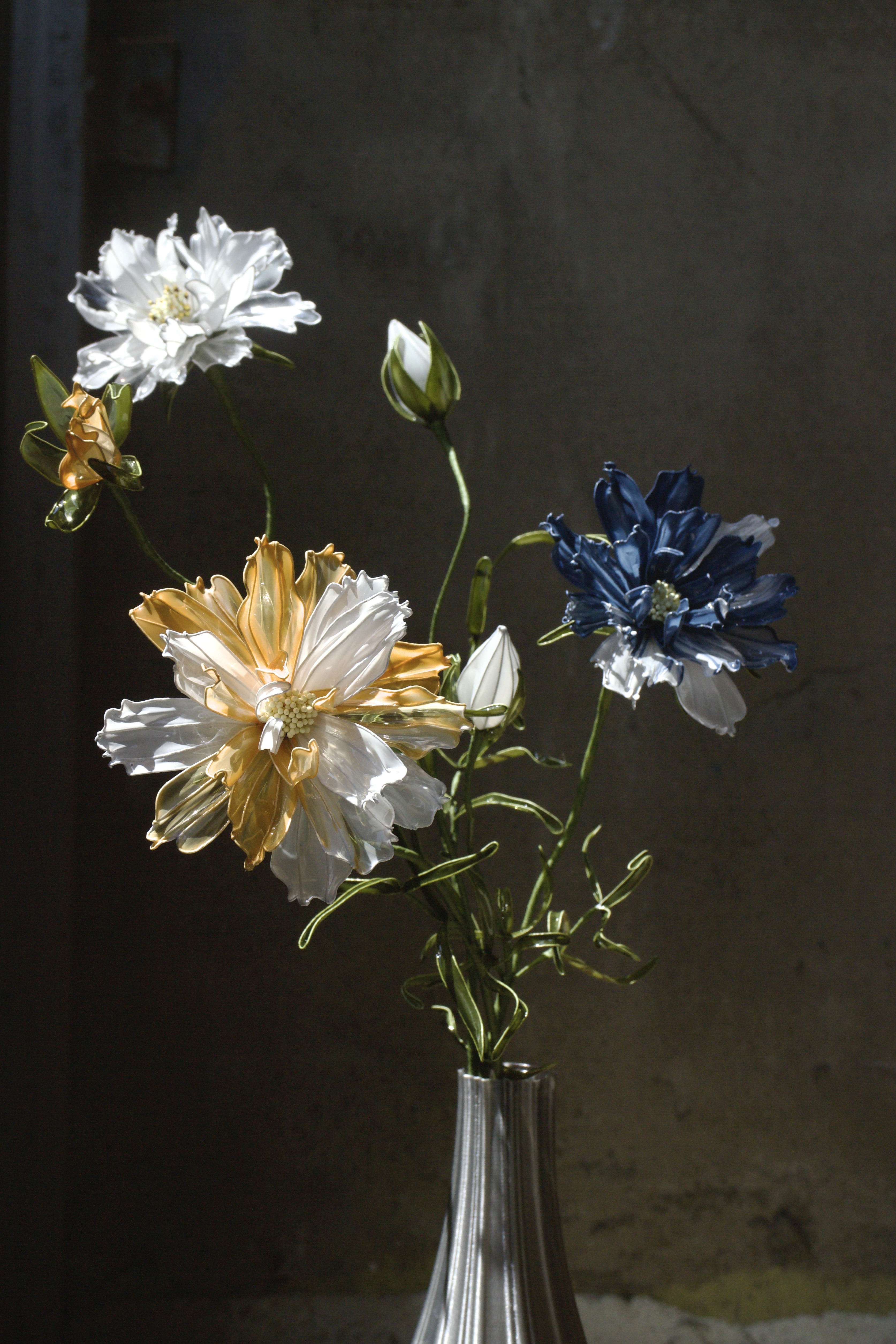 重瓣波斯菊|Dip Flower 水晶花|芔 Grassland Floral